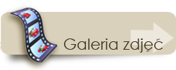 Galeria zdj miejscowoci