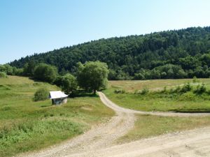 Kapliczka w Czarnem